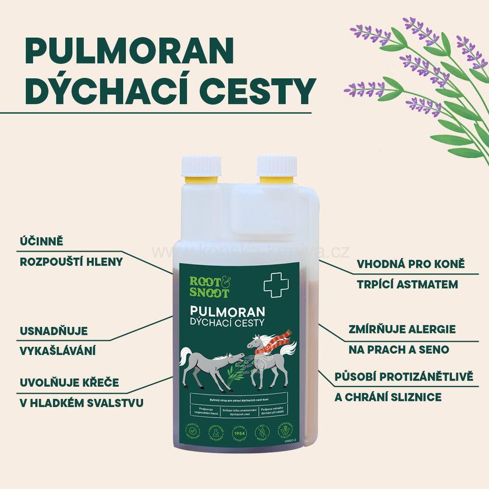 Sirup Leros Root&Snoot Pulmoran Horse 1l