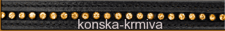 Uzdečka Star Diamond Waldhausen - brown/gold
