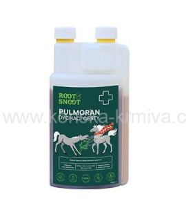 Sirup Leros Root&Snoot Pulmoran Horse 1l