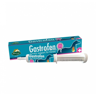 MERVUE GASTROFEN  80ml