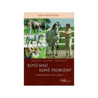 Když mají koně problémy - Karin Kattwinkel