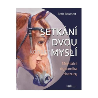 Setkání dvou myslí - Beth Baumerth