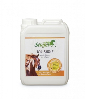 Stiefel Top shine 2,5l
