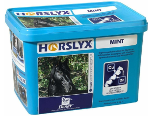HORSLYX Mint 5kg - Liz pro koně